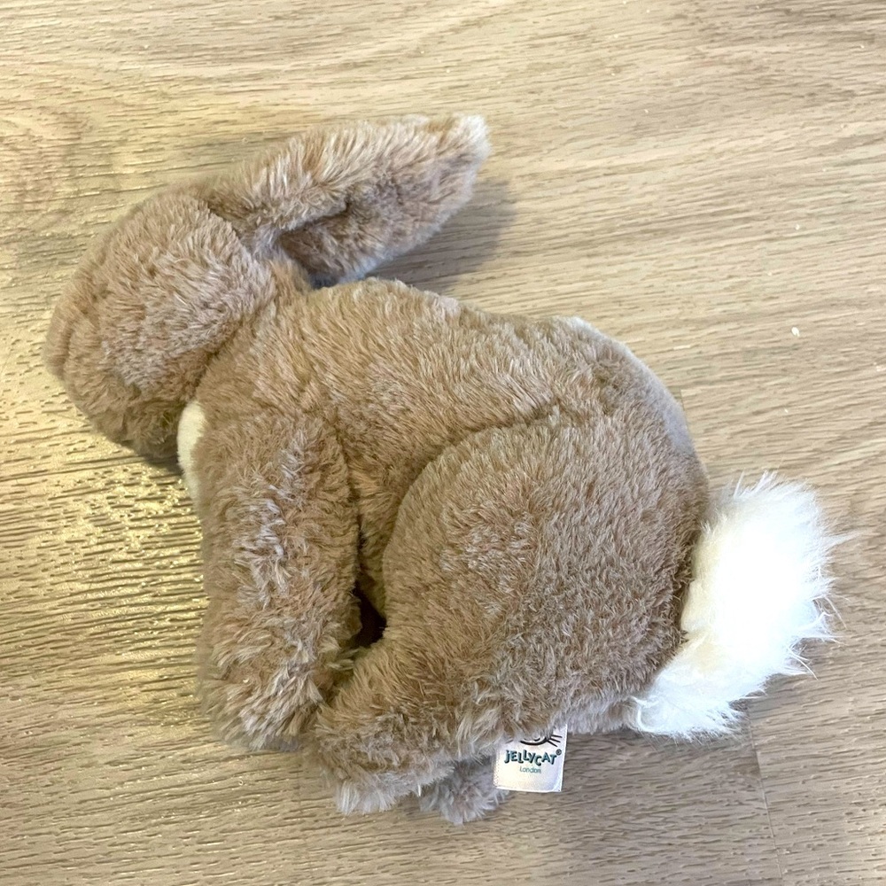 JELLYCAT Riley Bunny Rabbit Soft Plush Toy (Retired). - Picture 4 of 7